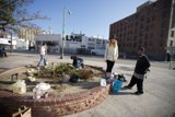 Guerilla Gardening: City Sidewalk Beautification