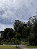Serene Sky and Lush Greenery from atop a Hill