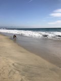 A Day in Paradise