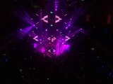 Purple Haze