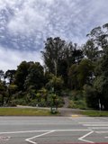 Nature Meets Urban