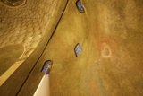 Illuminating Artistic Architecture