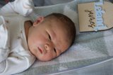 Welcome to the World, Leland