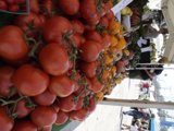 Tomatoes at the Feet of Wedding Guests