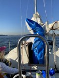 Serenity on the San Francisco Bay