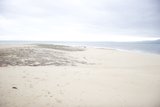 Solitude by the Sea
