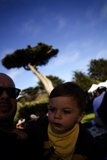 Sunset Fridays at the SF Zoo, 2023