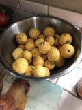 Bright and Citrusy