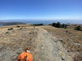 A Scenic Hike with a Furry Companion