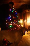 Man's Best Holiday Companion