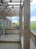Pergola Paradise
