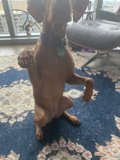 Puppy Love for Home Decor