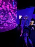 An Enthralling Journey Through the Deep Sea