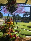 Flower Arrangement Under a Green Canopy