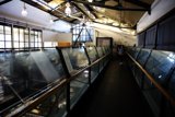Reflective Stroll along the Glass Pathway