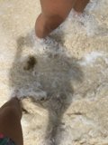 Soaking Up the Sea
