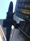 Urban Dinosaur
