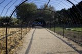 Stroll Through Filoli's Illuminated Pathway