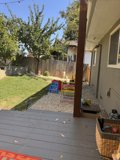**Sunny Backyard Escape**