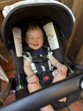 Joyful Moments in Walnut Creek