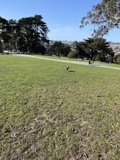 Fun in the Park