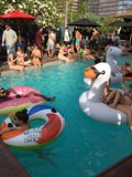 Pool Party Fun
