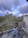 Dreaming Amongst the Peaks: Wesley's Mountain Marvel