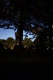 The Grandeur of Delores Park