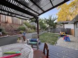 A Summer Evening in the Backyard