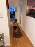 Little Adventurer