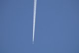 Skyward Journey