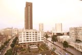 The Urban Skyline