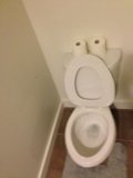 Double the Roll, Double the Fun