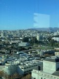 Urban Jungle View