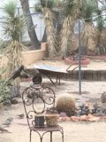 Desert Oasis