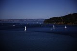 Sailing Bliss in the Bay of San Francisco