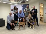 Dogs in the Office