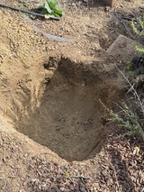 Freshly Dug Garden Hole Ready for Planting