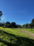 Serenity in Nature