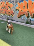Graffiti Playtime