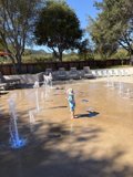 Splashing Into Joy
