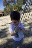 Playful Refreshment