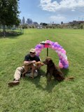 Man's Best Friends in the Park