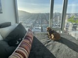 Urban Comfort