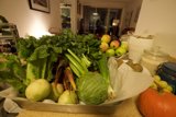 Harvest Bounty