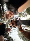 Woodland Family Adventure