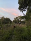 Riding Through the Wilderness