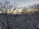 Winter Sunset Over Snowy Landscape