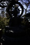 Serenity in the Japanese Tea Garden
