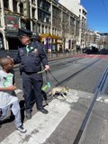 A Walk with the Law